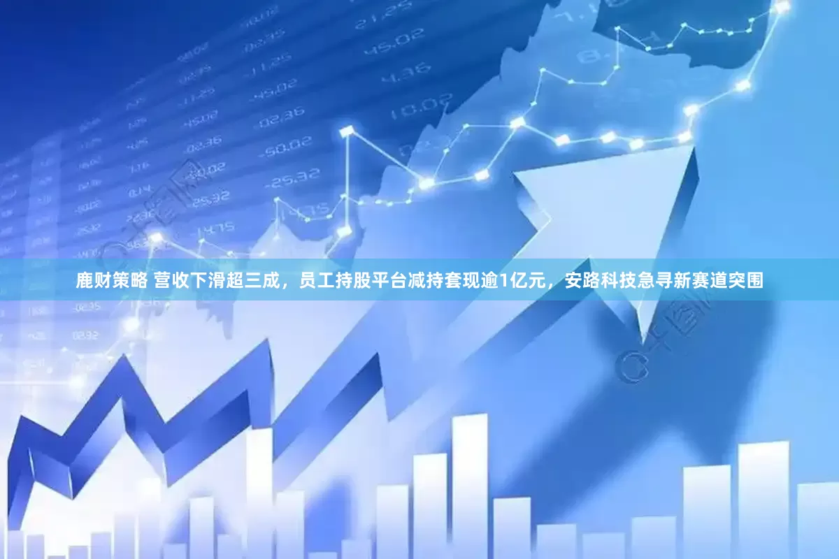 鹿财策略 营收下滑超三成，员工持股平台减持套现逾1亿元，安路科技急寻新赛道突围