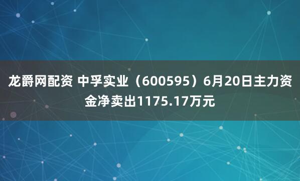 龙爵网配资 中孚实业（600595）6月20日主力资金净卖出1175.17万元
