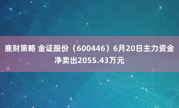 鹿财策略 金证股份（600446）6月20日主力资金净卖出2055.43万元