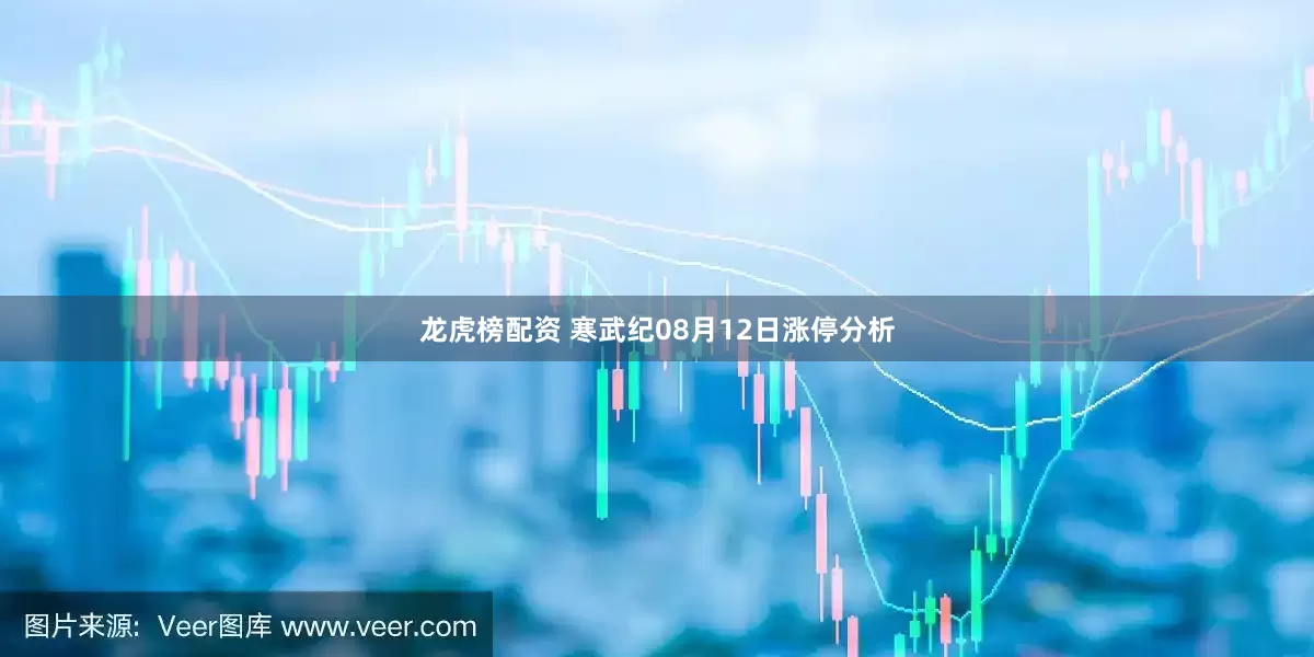 龙虎榜配资 寒武纪08月12日涨停分析
