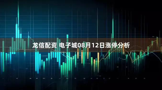龙信配资 电子城08月12日涨停分析